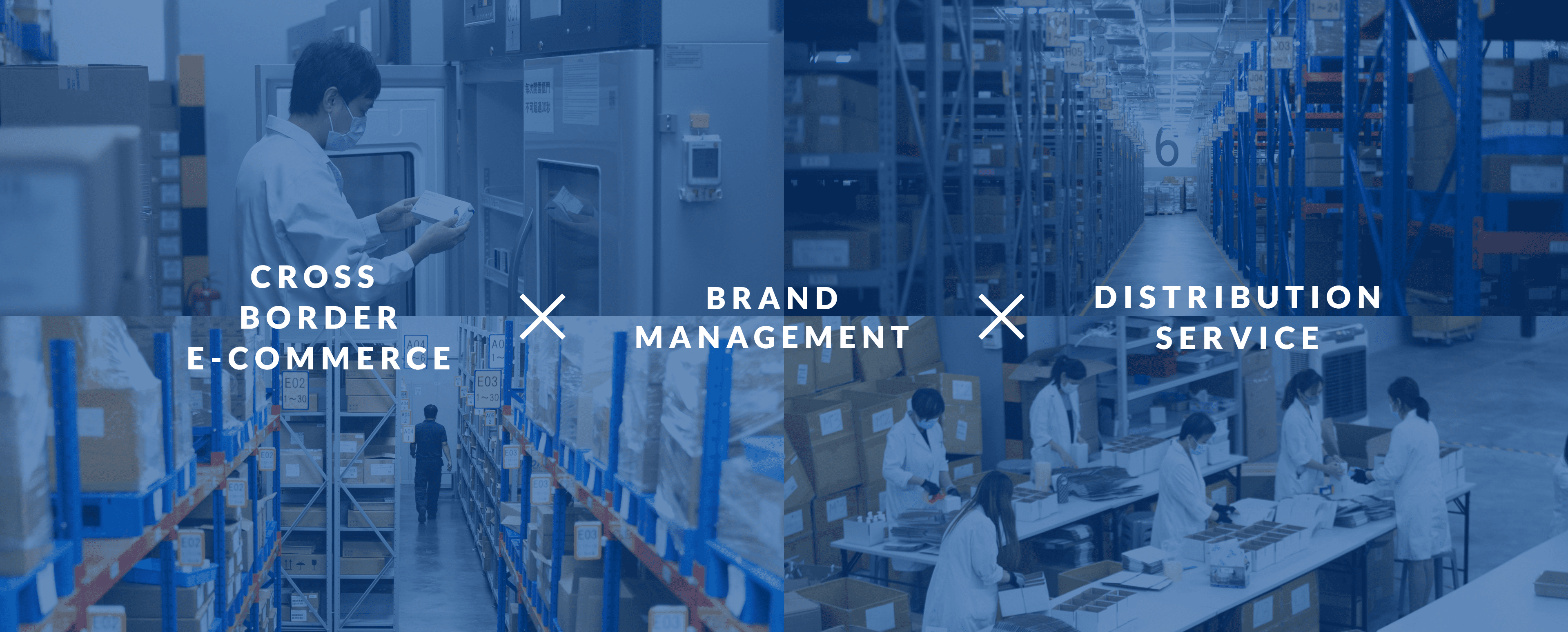 CROSS-BORDER BRAND-MANAGEMENT DISTRIBUTION-SERVICE